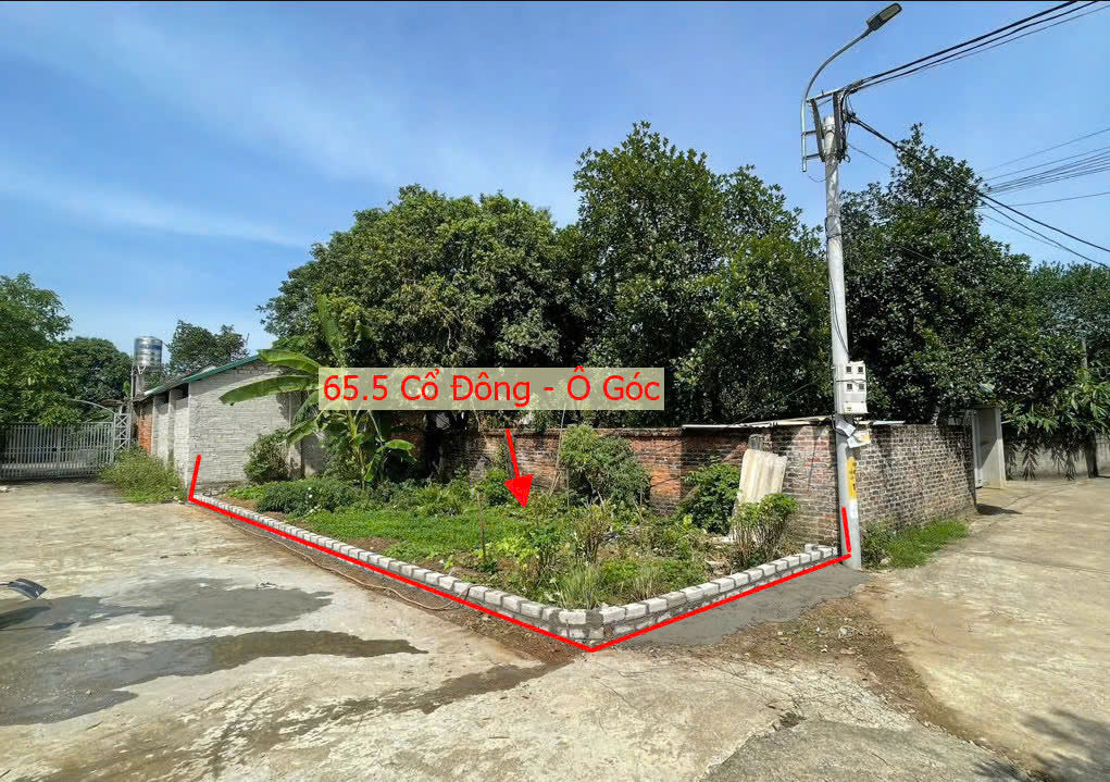 Hình ảnh Bán Lô Góc 3 Mặt Tiền Ô Tô Vào Tận Đất Gần Mặt Đường Kinh Doanh Giá Chỉ Hơn Tỷ