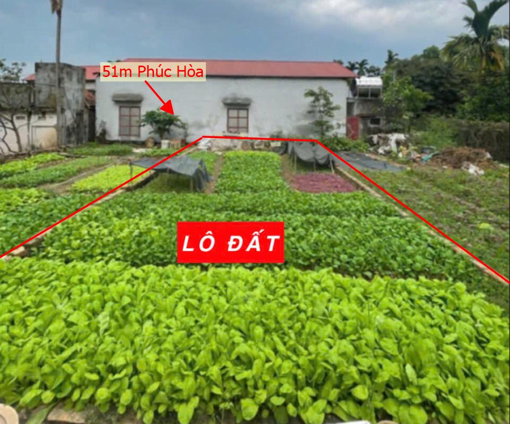 Hình ảnh Bán Lô Đất 51m Tại Phúc Hòa Phúc Thọ Bám Đường Bê Tông Ô Tô Vào Tận Đất Dân Cư Đông Phát Triển Giá Đầu Tư