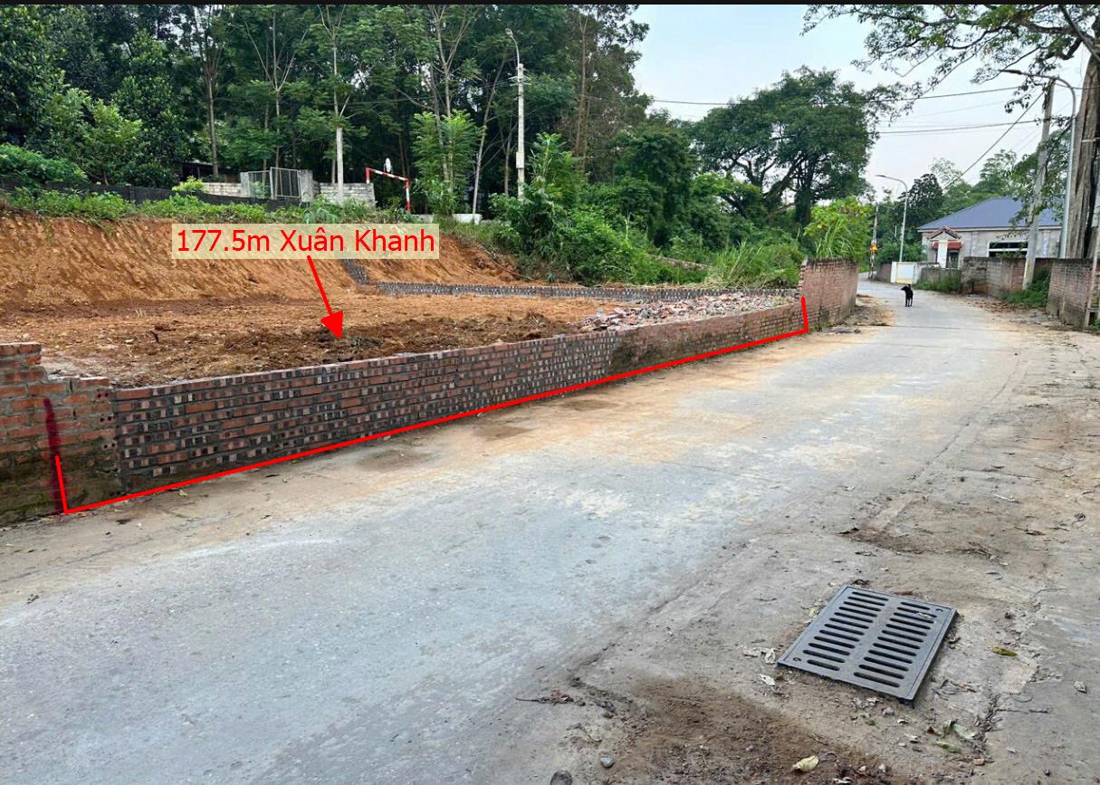 Hình ảnh Bán Lô Đất 177.5m Tại Xuân Khanh Sơn Tây Bám Đường Bê Tông Ô Tô Vào Tận Đất Dân Cư Đông Đúc Giá Đầu