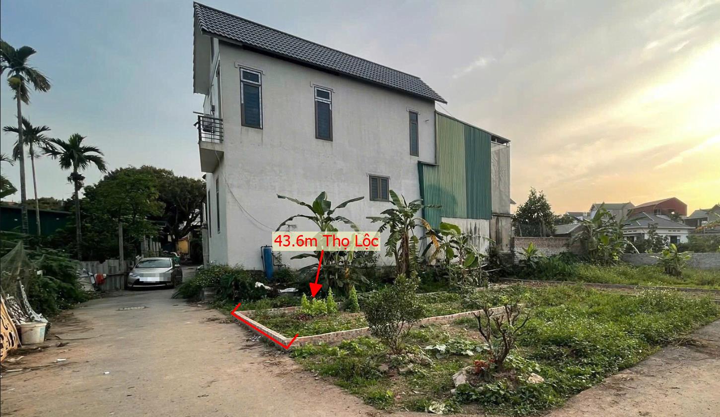 Hình ảnh Bán Lô Đất 43.6m Tại Thọ LộC Phúc Thọ Bám Đường Bê Tông Ô Tô Vào Tận Đất Dân Cư Đông Thân Thiện Giá Đầu Tư
