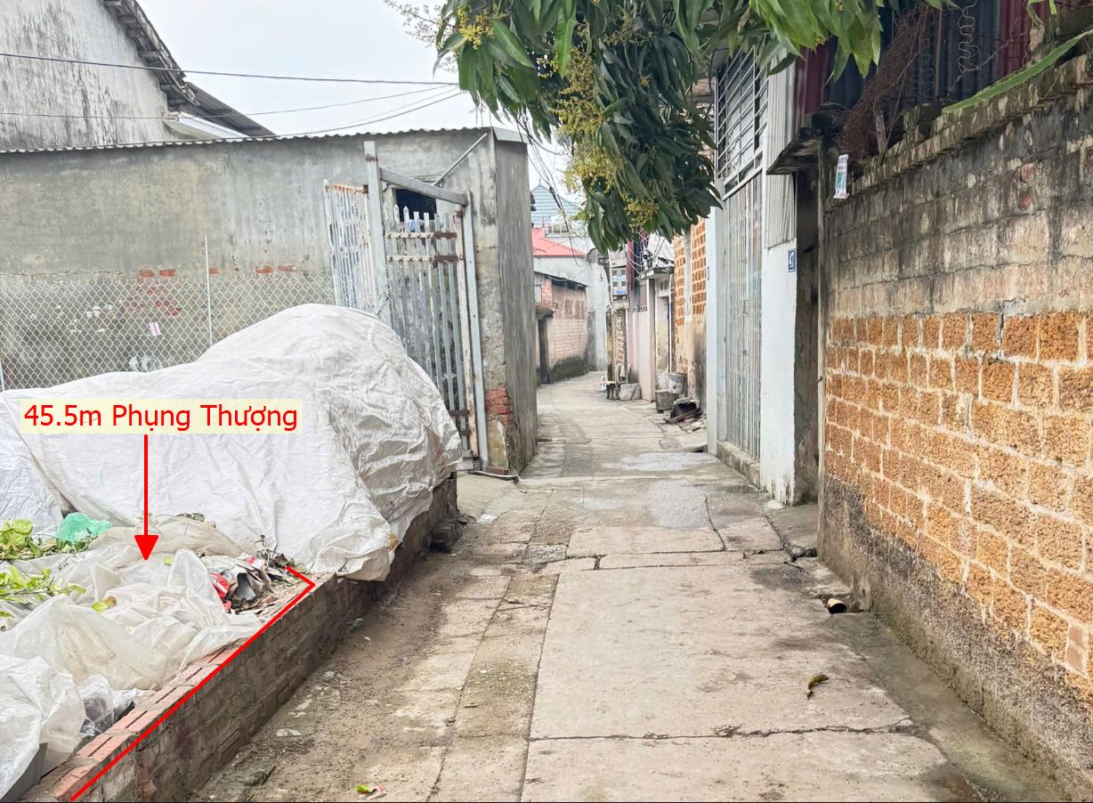 Hình ảnh Bán Lô Đất 45.5m Tại Phụng Thượng Bám Đường Bê Tông Dân Cư Đông Đúc Thân Thiện Cách Ql32 500m Lô Duy Nhất Giá Hơn Tỷ