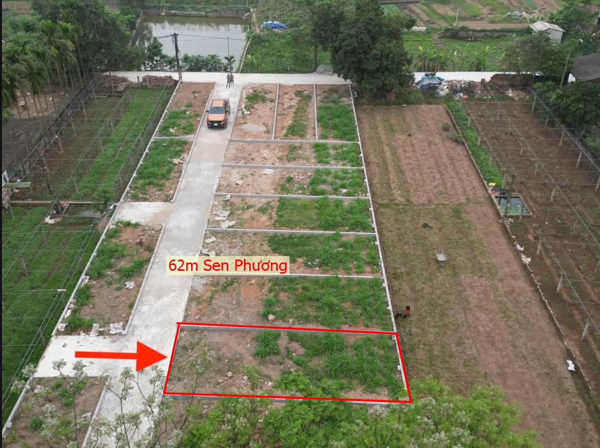 Hình ảnh Bán Lô Đất 62m tại Phúc Thọ Bám Đường Bê Tông Ô Tô Vào Tận Đất Dân Cư Đông Gần Chợ Trường Học Ủy Ban Giá Đầu Tư