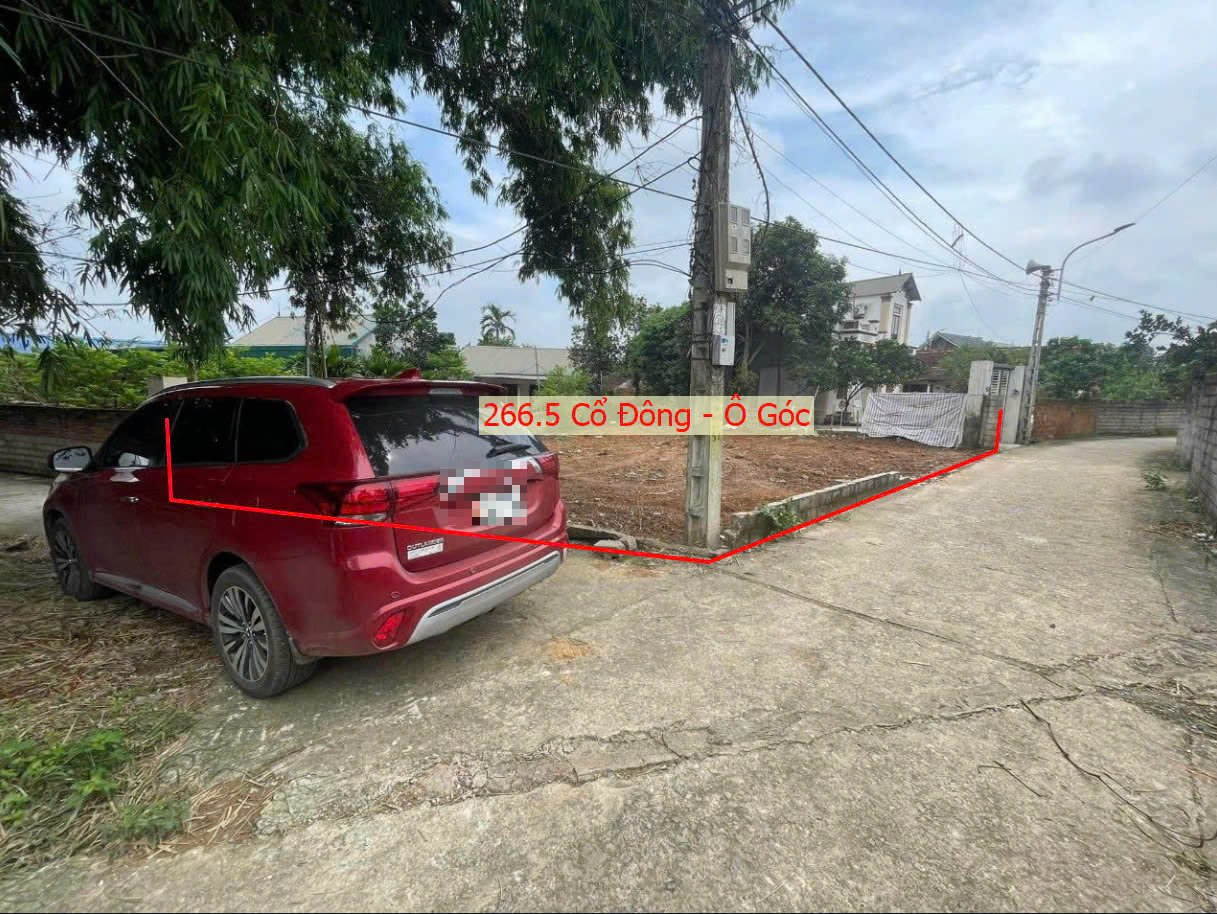 Hình ảnh Bán Lô Góc 2 Mặt Tiền Ô Tô Vào Tận Đất Sát Trục Kinh Doanh Tại Cổ Đông Giá Chỉ Hơn Tỷ