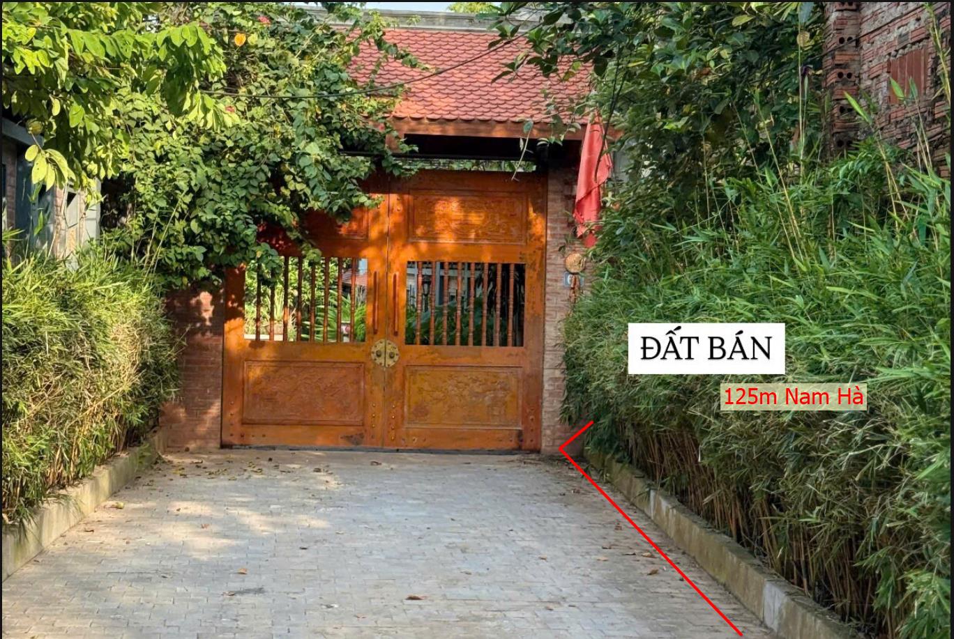 Hình ảnh Bán Lô Đất 125m Tại Phúc Thọ Bám Đường Bê Tông Ô Tô Vào Tận Đất Dân Cư Đông Đúc Thân Thiện Giá Đầu Tư
