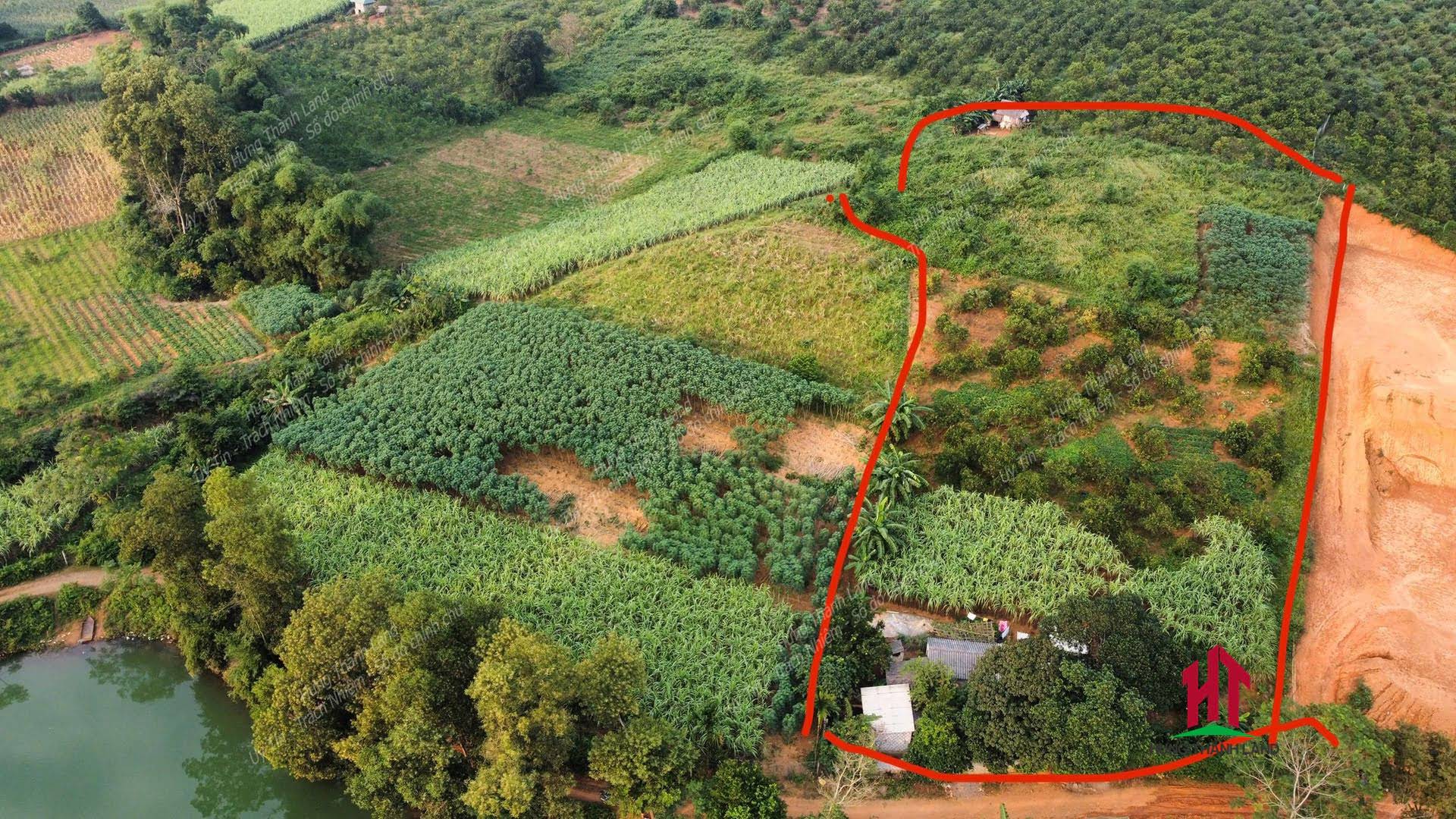 Hình ảnh Bán đất View Hồ giá rẻ ở Tân Phong Cao Phong 2734 m2
