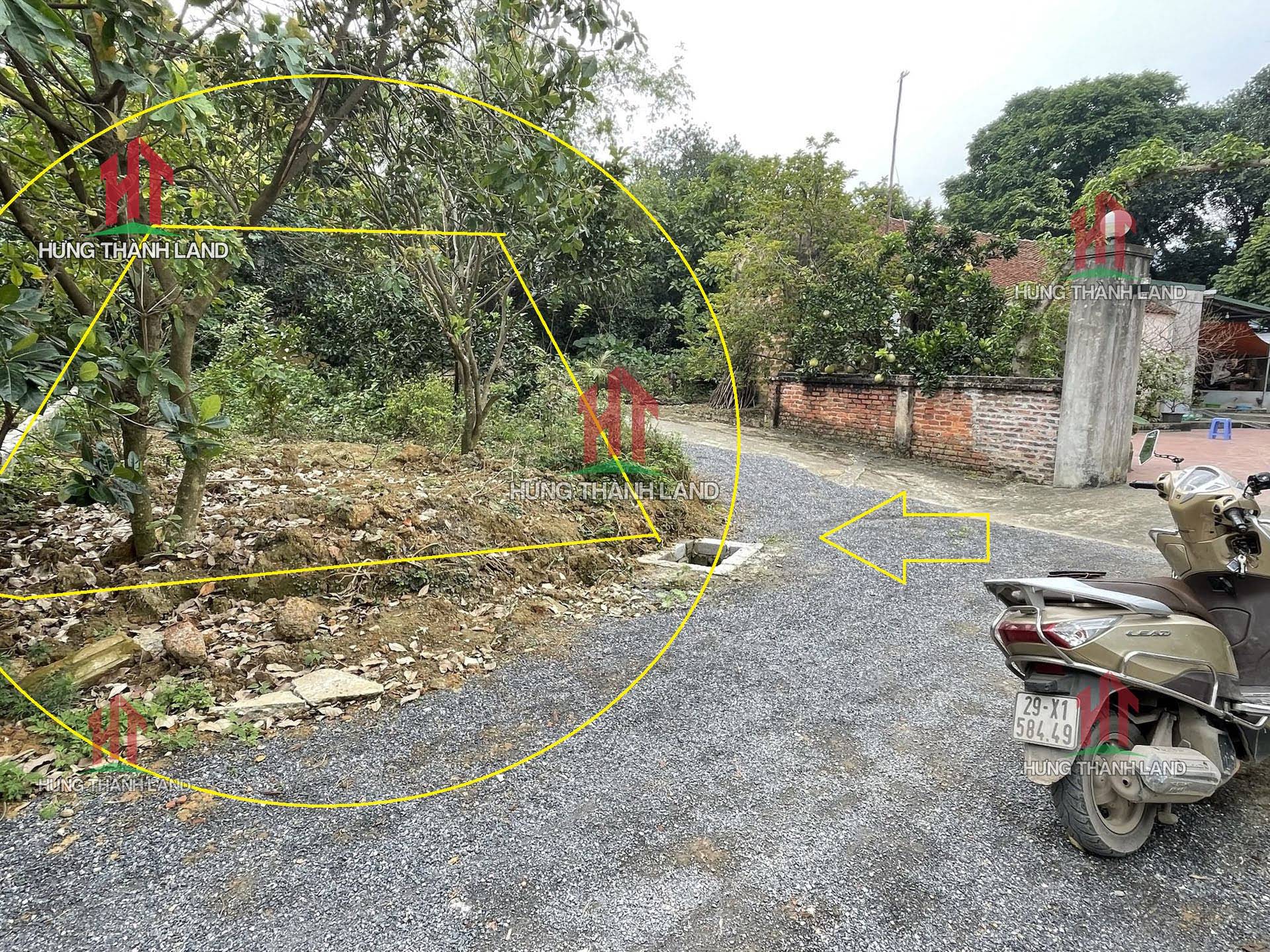 Hình ảnh Chính chủ gửi bán lô đất 64,5m full thổ cư ở thôn Thanh Trì xã Đông Sơn