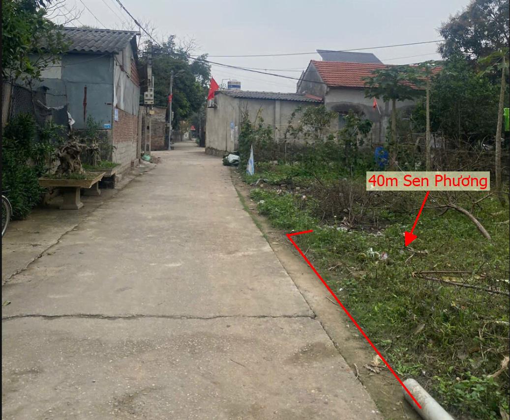 Hình ảnh Bán Lô Đất 40m Tại Phúc Thọ Bám Đường Bê Tông Ô Tô Vào Tận Đất Dân Cư Đông Đúc Gần Chợ Trường Học Ủy Ban