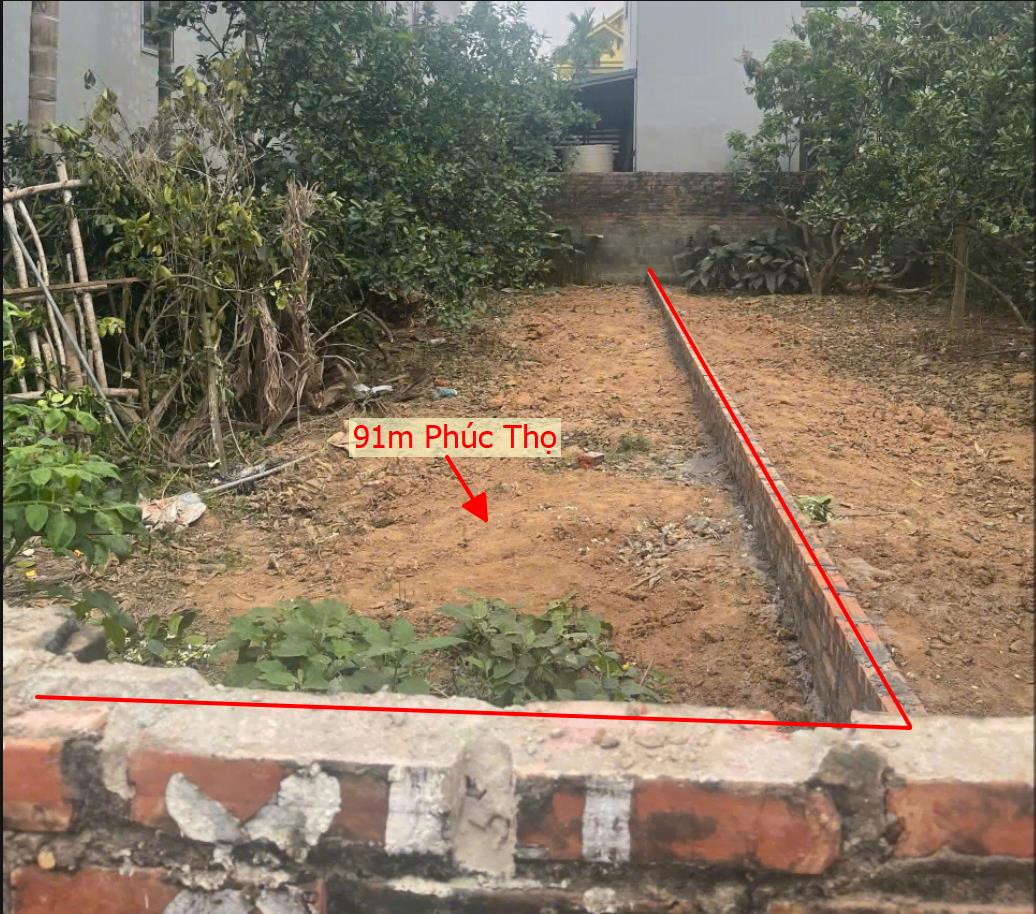 Hình ảnh Bán Lô Đất 91m Tại Phúc Thọ Bám Đường Bê Tông Ô Tô Vào Tận Đất Dân Cư Xung Quanh Đông Đúc Đầy Đủ Tiện Ích Giá Đầu Tư