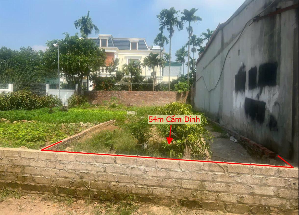 Hình ảnh Bán Lô Đất 54m Tại Cẩm Đình Phúc Thọ BÁm Đường Bê Tông Ô Tô Vào Tận Đất Dân Cư Đông Đúc Giá Đầu Tư