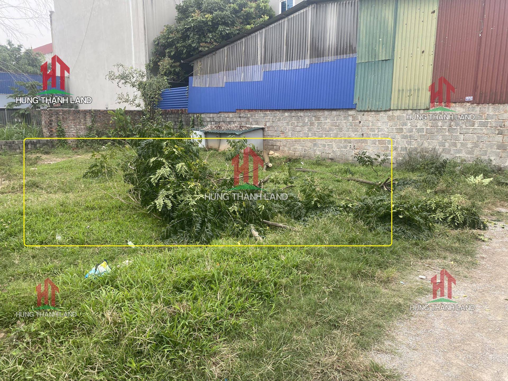 Hình ảnh Chủ nhà đang cần tiền bán lô đất 75m2 tại trung Tâm xã Thuỵ Hương huyện Chương Mỹ chỉ hơn 1 tỷ