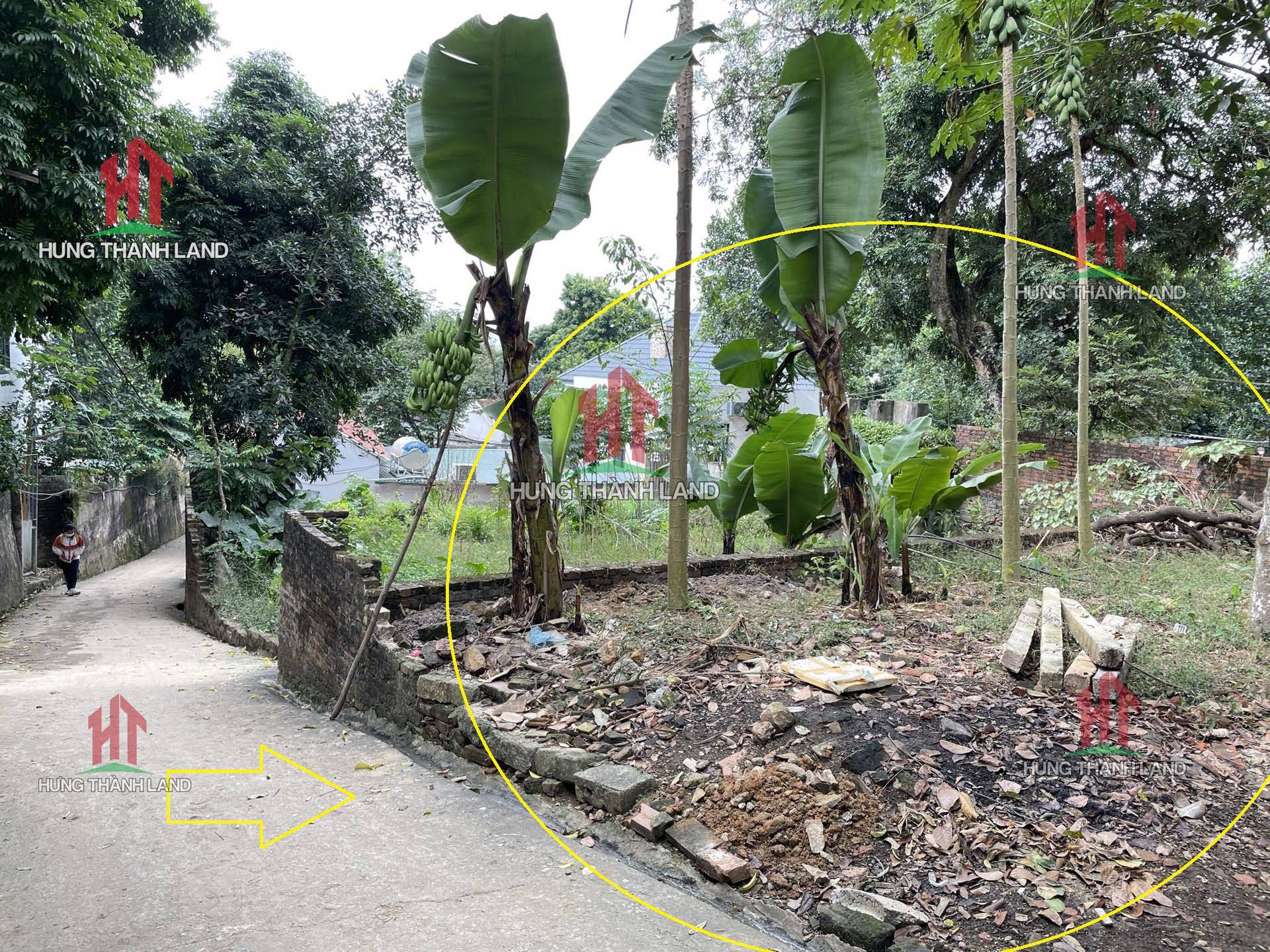 Hình ảnh Thanh lý mảnh đất Lô góc 2 mặt tiền ở thôn Sơn Đồng xã Tiên Phương 105m2