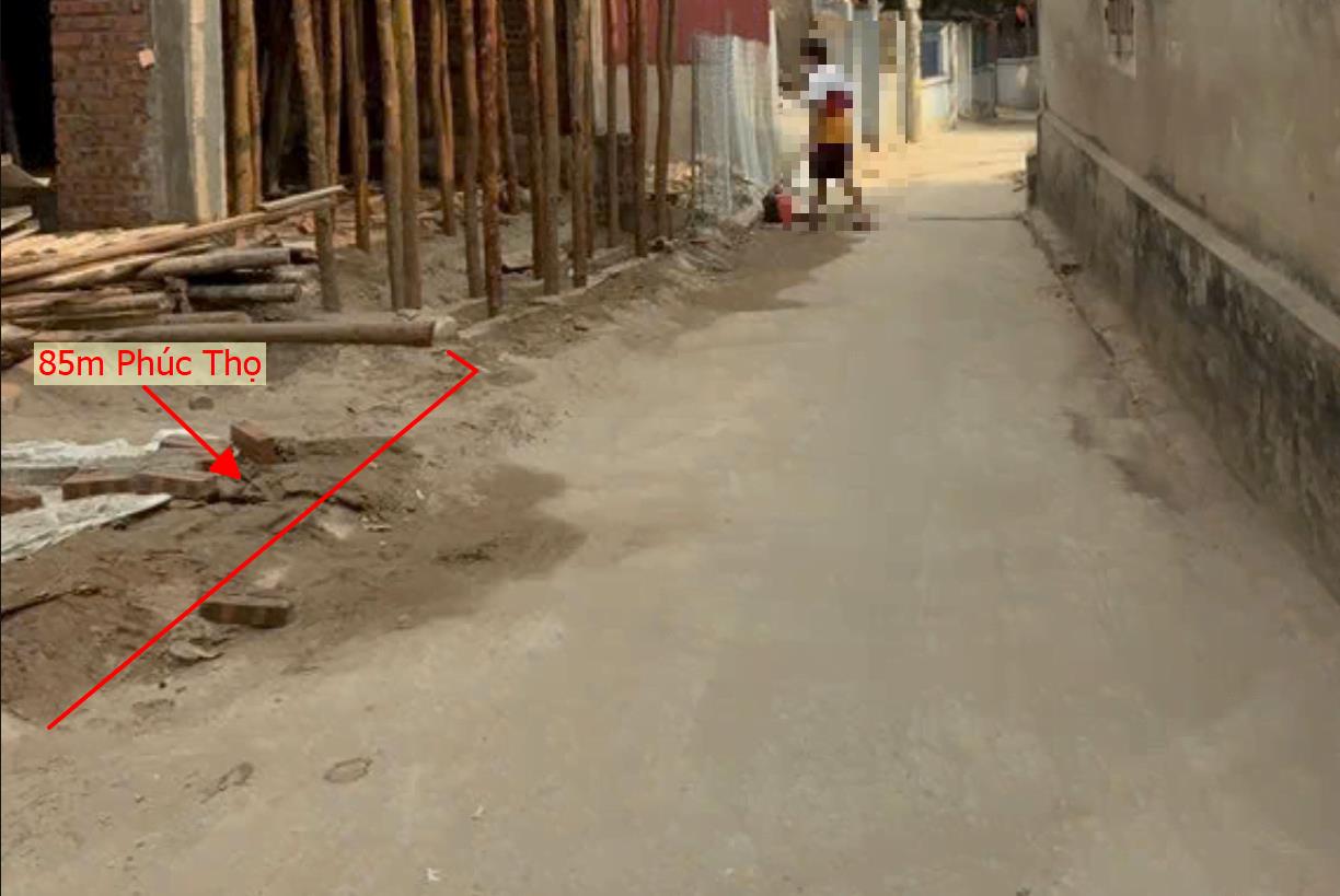 Hình ảnh Bán Lô Đất 85m Tại Phúc Thọ Dân Cư Đông Đúc Đầy Đủ Tiện Ích Xung Quanh Cách QL32 200m Giá Đầu Tư