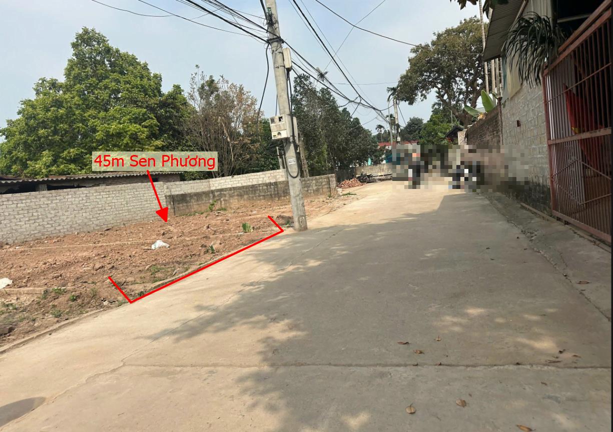 Hình ảnh Bán Lô Đất 45m Tại Phúc Thọ Bám Đường Bê Tông Ô Tô Vào Tận Đất Dân Cư Đông Sổ Đỏ Pháp Lý Rõ Ràng